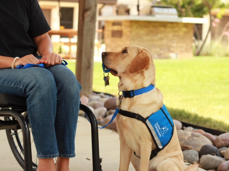 Canine Companions therapy dog