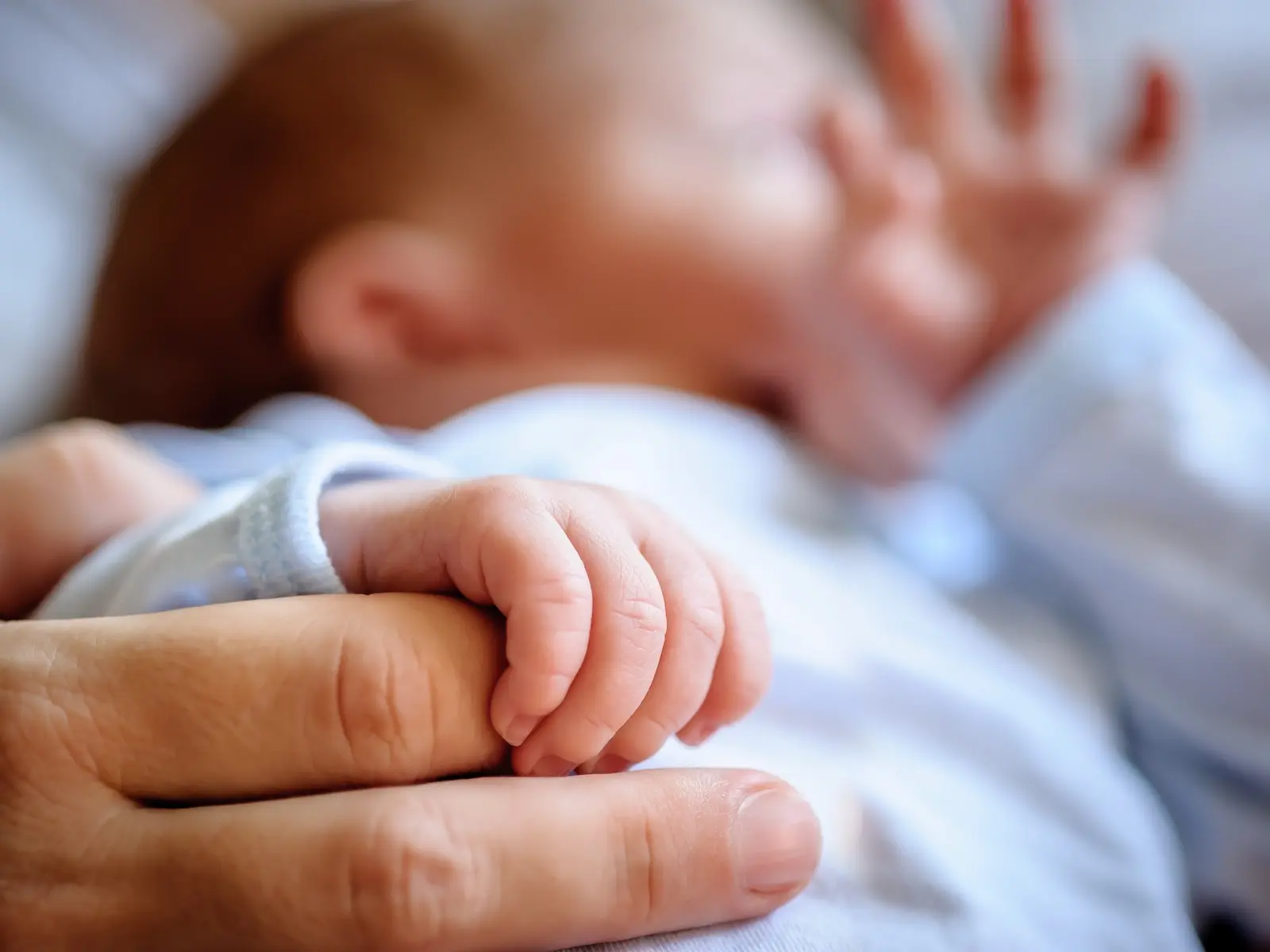 A small newborn baby holding onto its parent’s finger