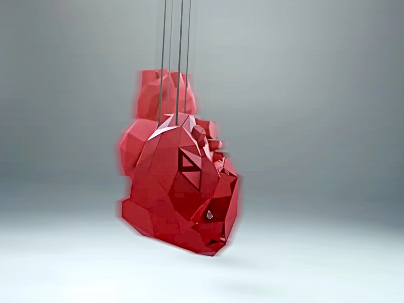 Still image from Heart Recovery Center video