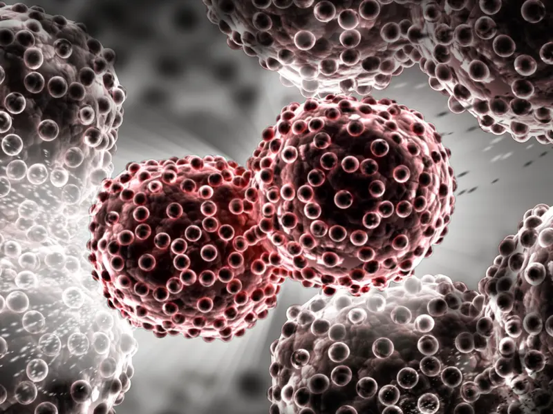 enlarged view of lung cancer cells under a microscope