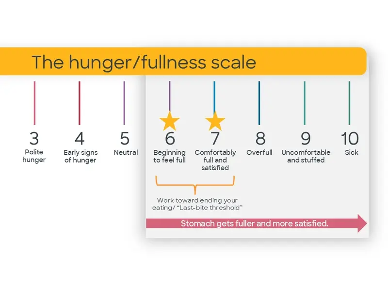 Hunger fullness 2
