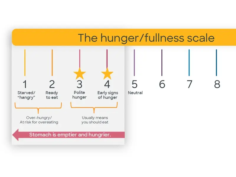 Hunger fullness 1
