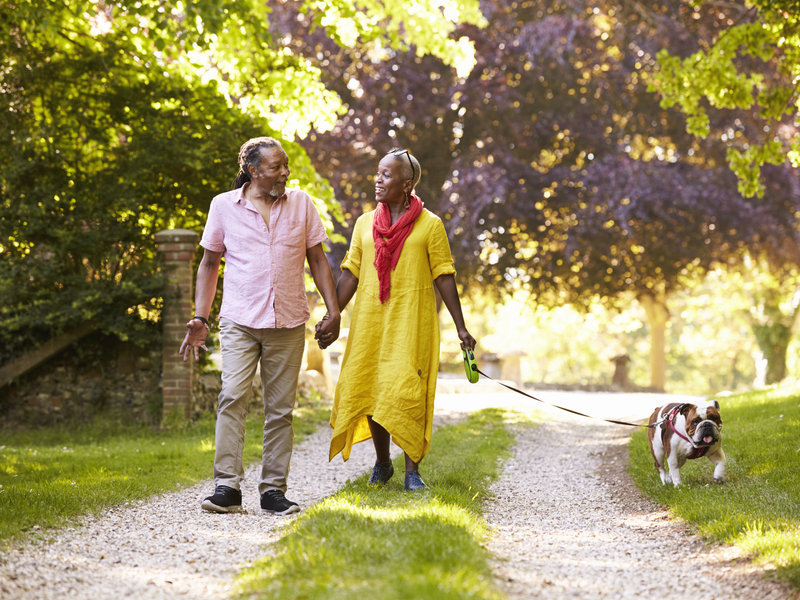 older couple enjoying a leisurely walk with their dog 