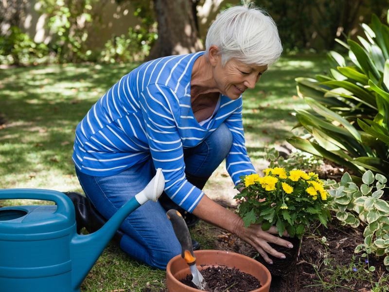 older woman experiencing knee pain while kneeling down to plant flowers outside in garden