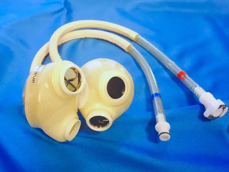 Artificial heart model