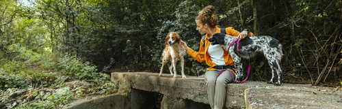 A woman sits in outdoors while on a hike with her two dogs