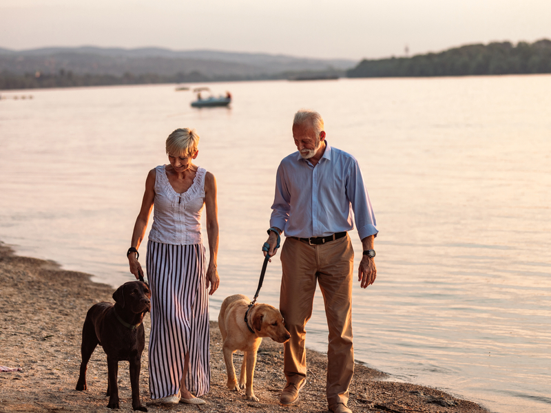 A woman and man walk along the beach with their two dogs