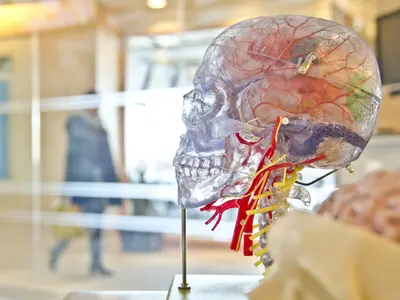 concussion-research.jpg