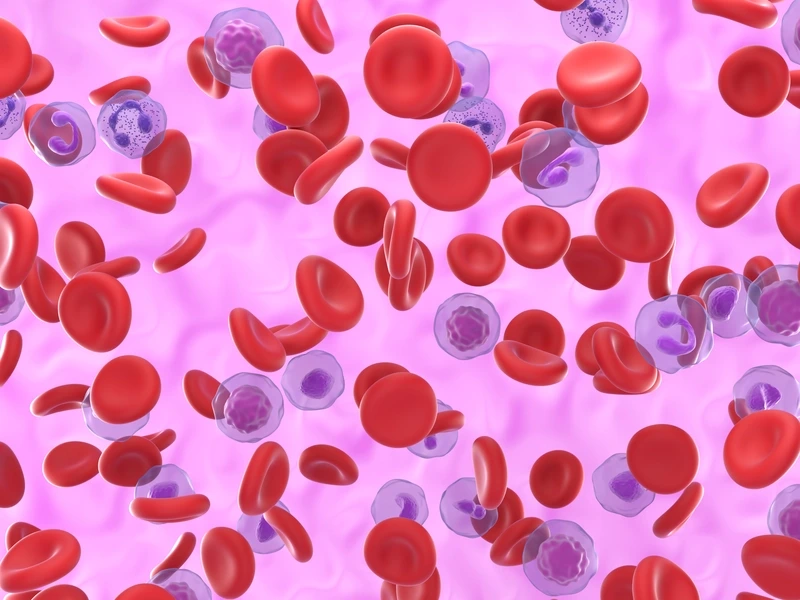 blood cells